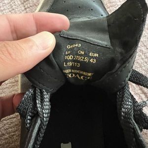 Used coach sneaker, worn 10 times.  No box.